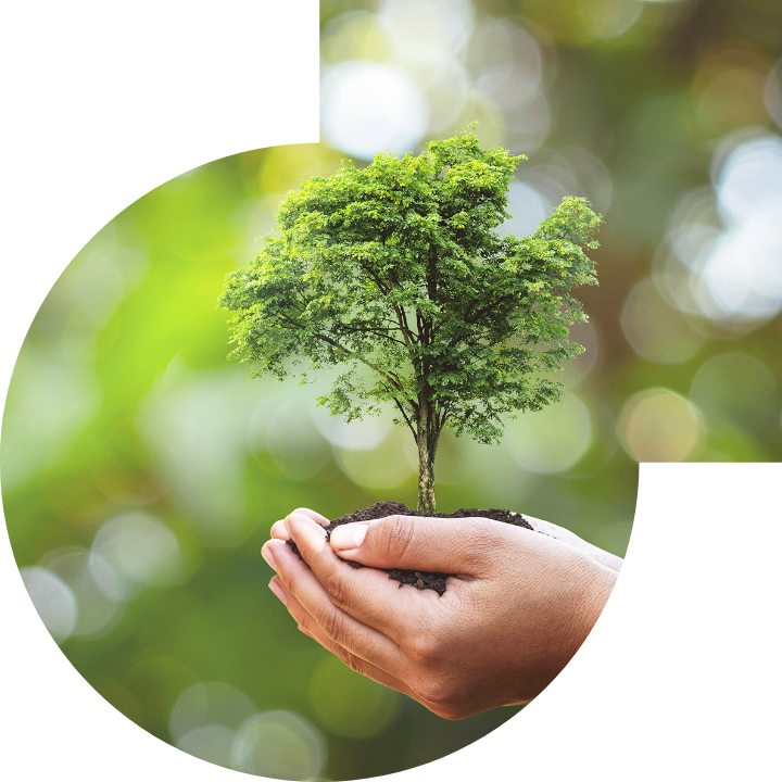 关怀人类、文化、环境与社会